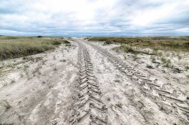 Factores a considerar al elegir entre suspensiones off-road y de pista